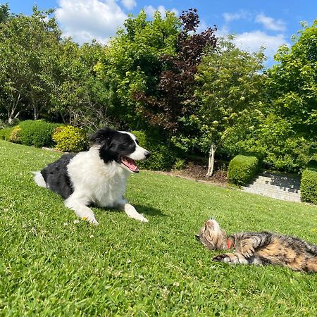 Castledale Bed & Breakfast Sligo Bagian luar foto